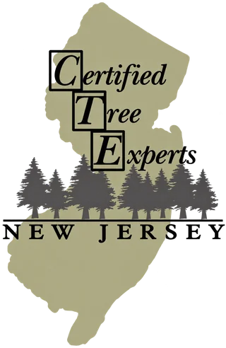 Official New Jersey CTE badge with a tree and state outline