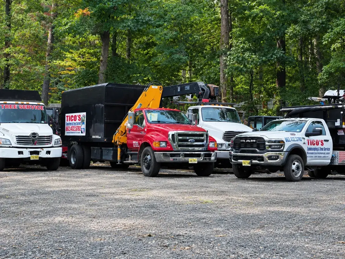 Tico's tree service trucks parked together in a wooded lot
