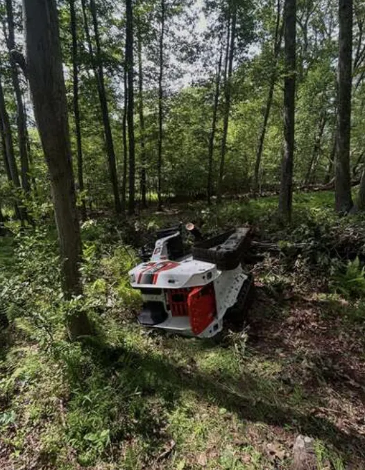 Tracked machine clearing brush in a wooded lot