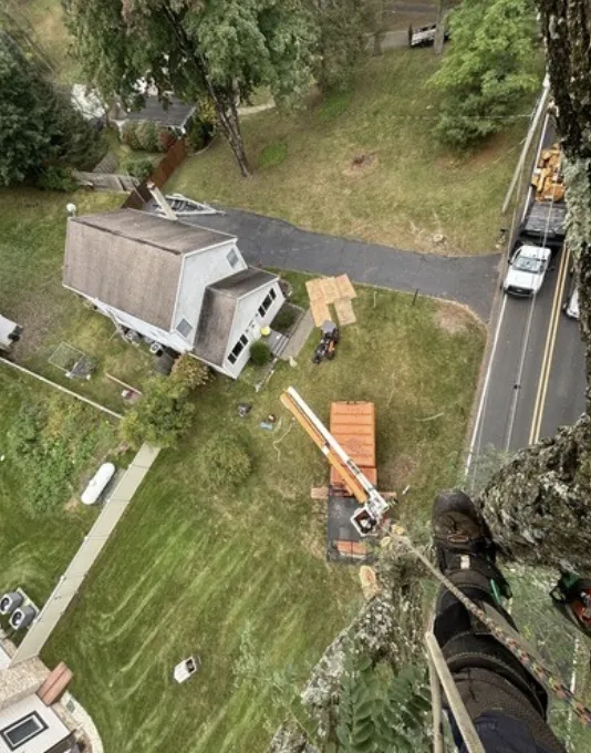 View from a tree above a house and yard, with a bucket truck below